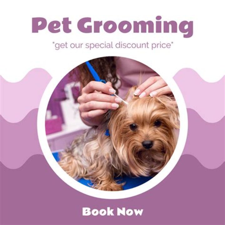 Are pet groomers paid well?