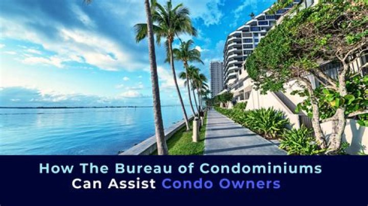 Can a Florida condominium association borrow money?