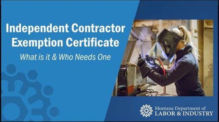 Can F1 OPT student work as independent contractor?