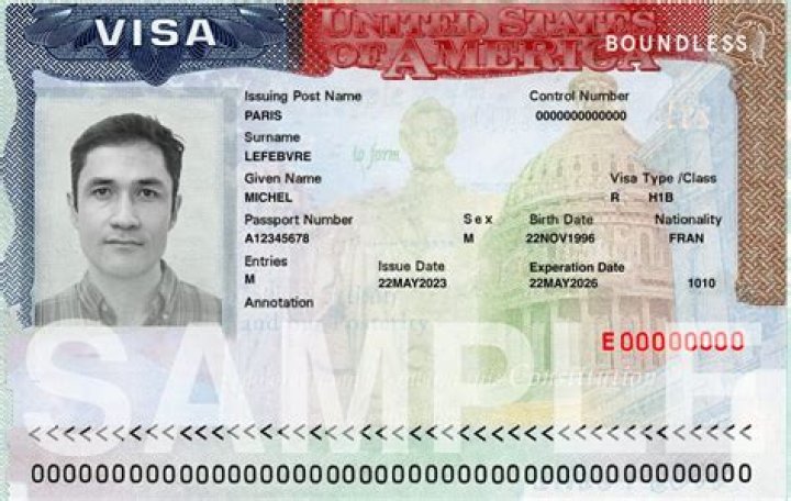 Can l1 visa holder buy stocks in USA?