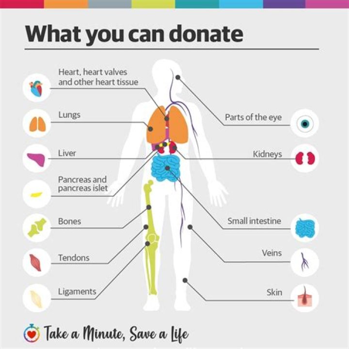 Can u donate your life?