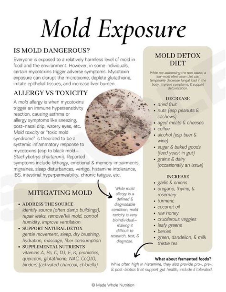 Can you sue for mold exposure?