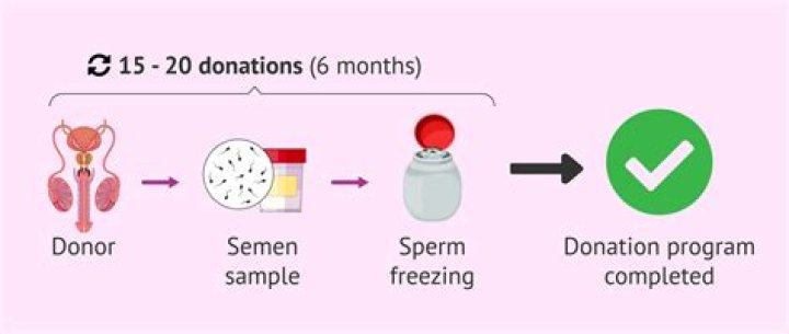 Can you use a donor egg and donor sperm?