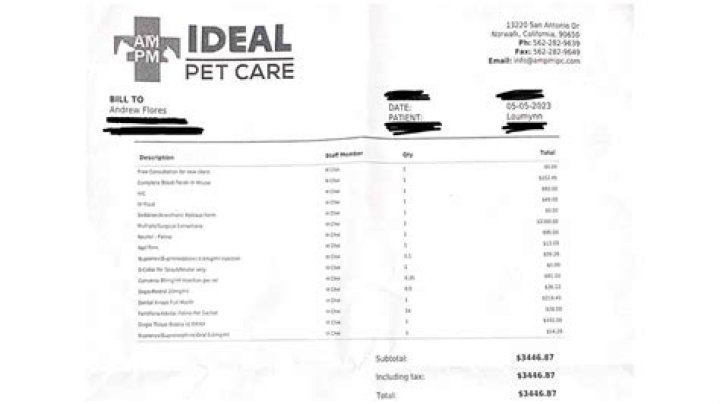 Do animal friends pay vet direct?