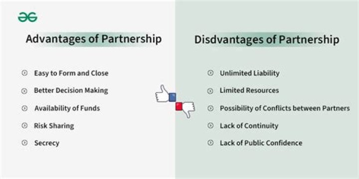 Do partnerships own assets?