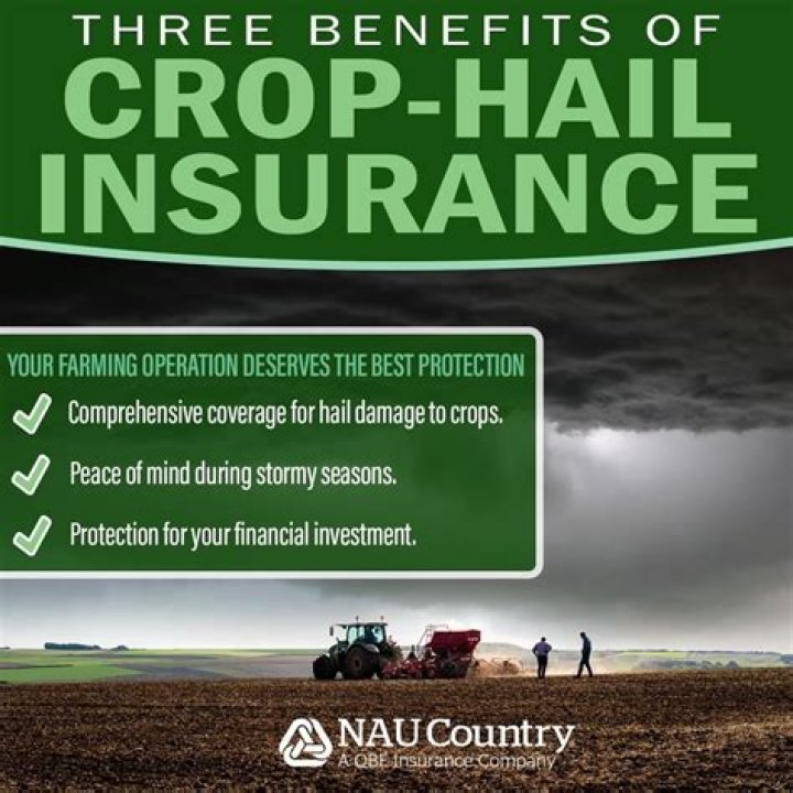 Does crop hail insurance have a deductible?