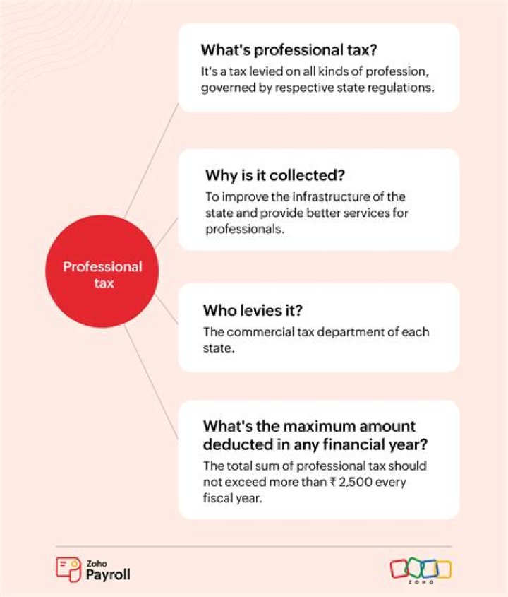 How can I get my professional tax number?