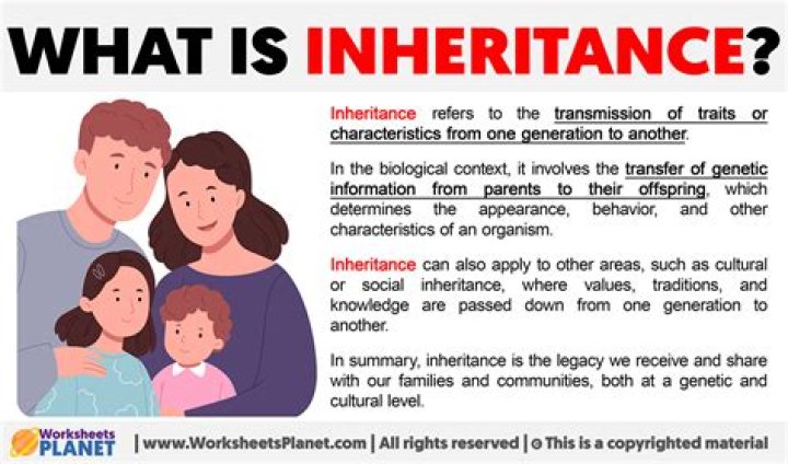 How does inheritance work in Italy?