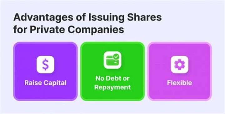 How is the share price of a private company calculated?