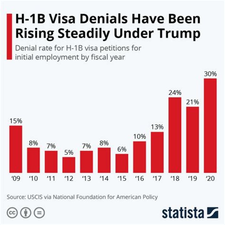 How many H-1B visas are issued each year?