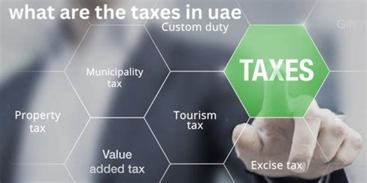 How many tax professionals are there in the United States?