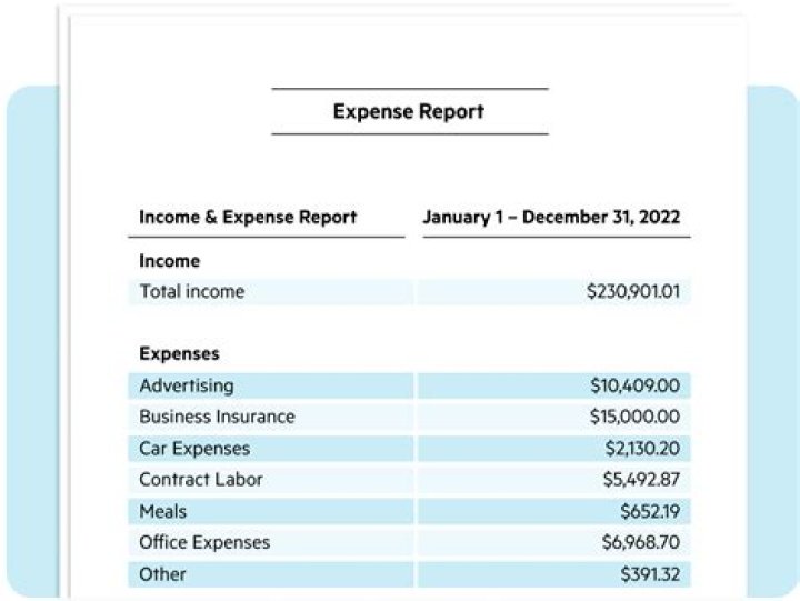 How to report expenses before a LLC is formed?