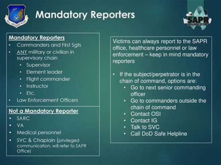 Is a pastor a mandatory reporter?