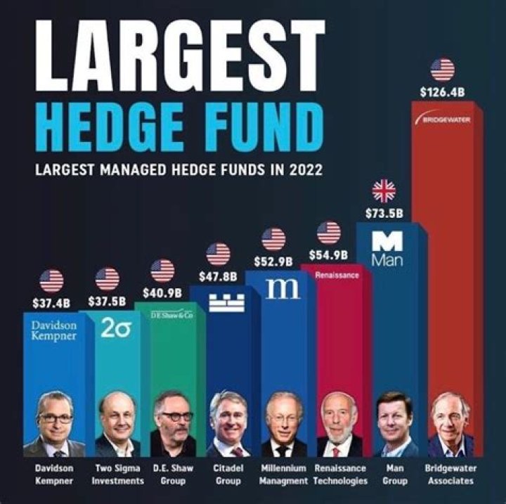 Is BC Partners a hedge fund?