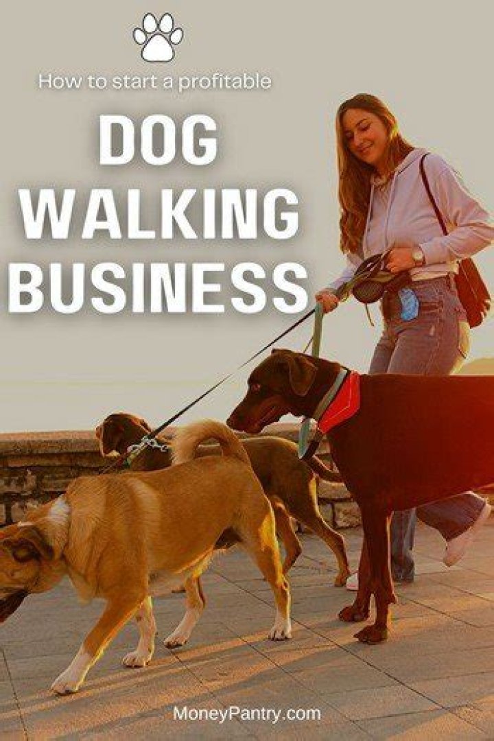 Is dog walking a profitable business?