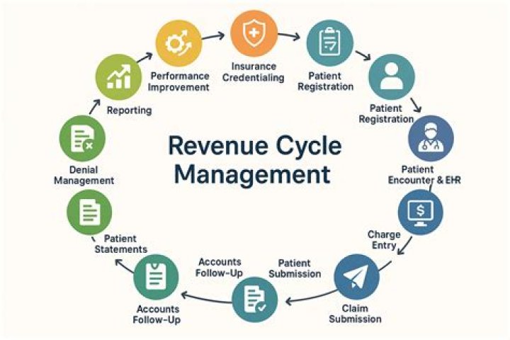 What can a revenue officer do?