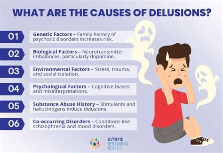 What causes delusions in the elderly?