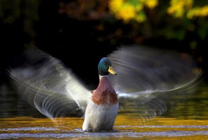 What day is nature photography Day?