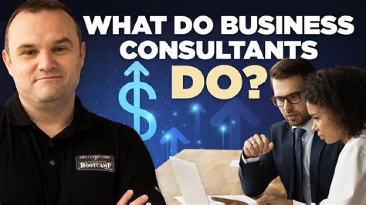 What do independent business consultants do?