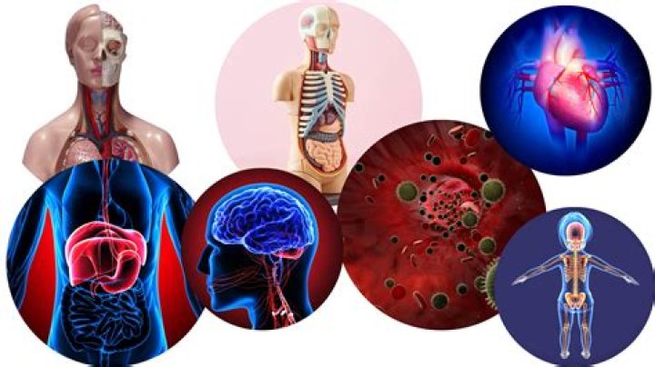 What do you think are the reasons of issuing bonus?