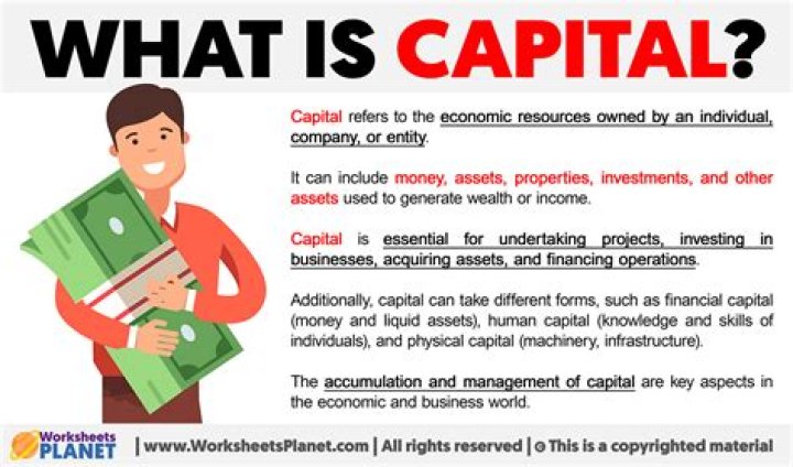What does capital get in return?