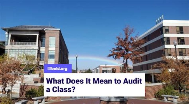 What does it mean to audit a bill?