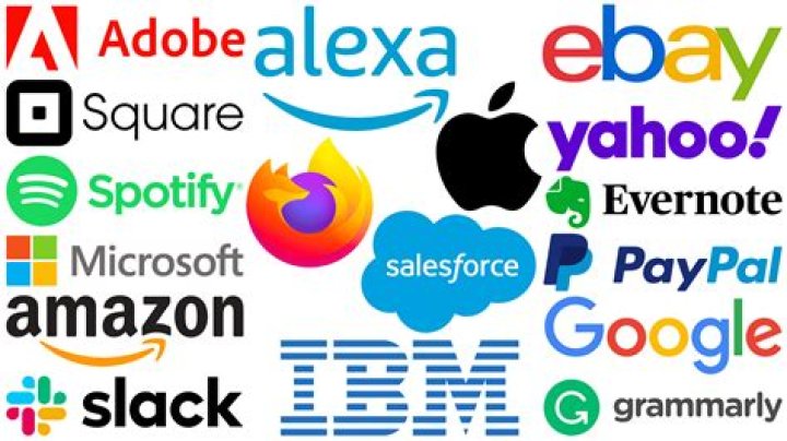 What happens if a company has no shareholders?