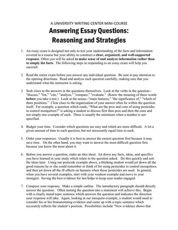 What is a essay question?