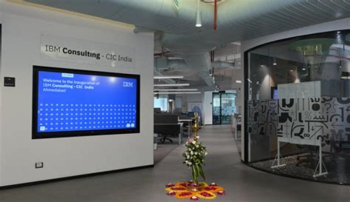 What is an IBM partner?