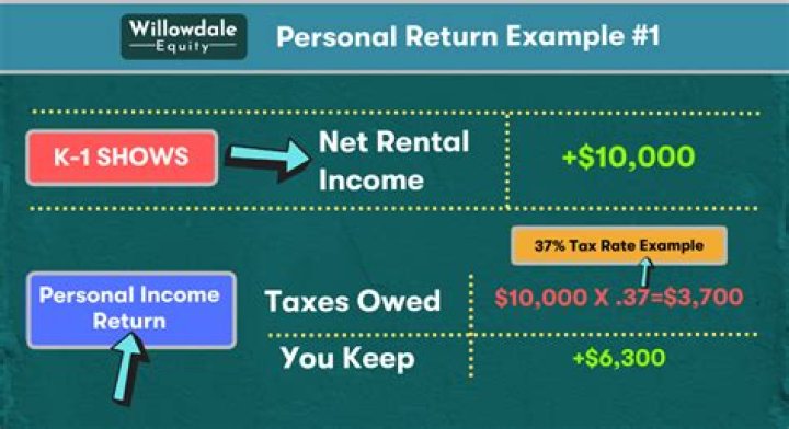 What is non passive income on k1?