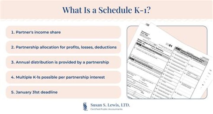 What is Nonpassive loss from Schedule k1?