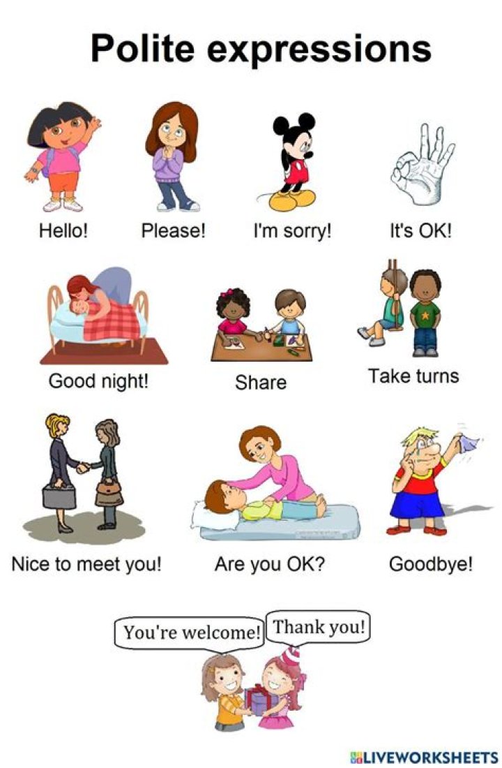 What is polite request?