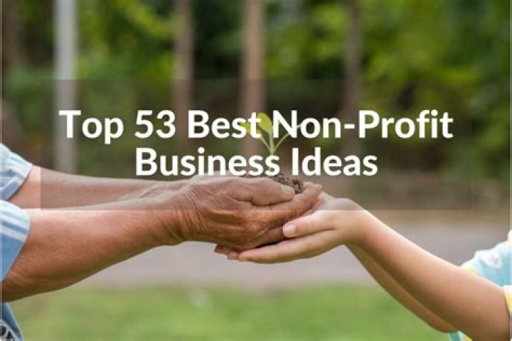 What is the best non-profit business to start?