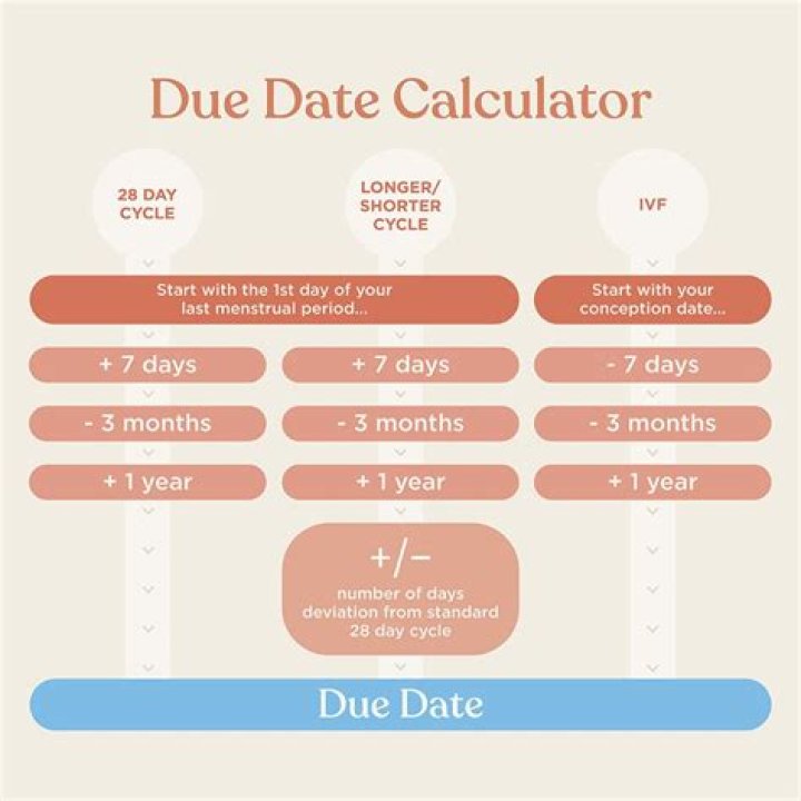 What is the due date for 990ez?