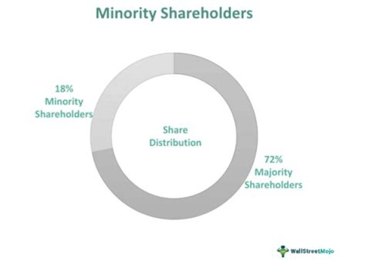 What makes you a minority shareholder?