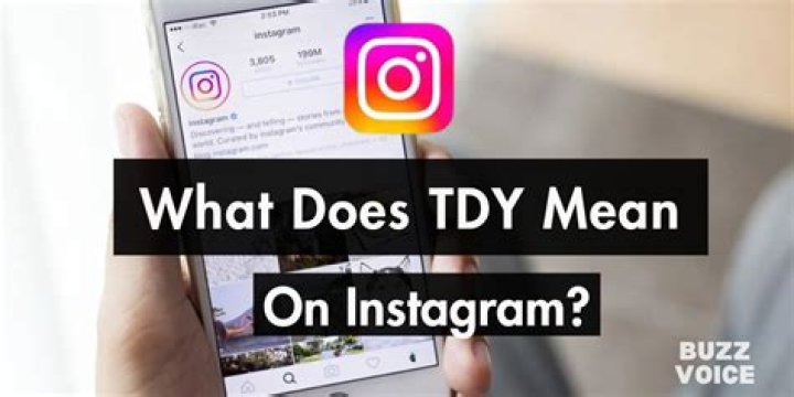What TDY means?