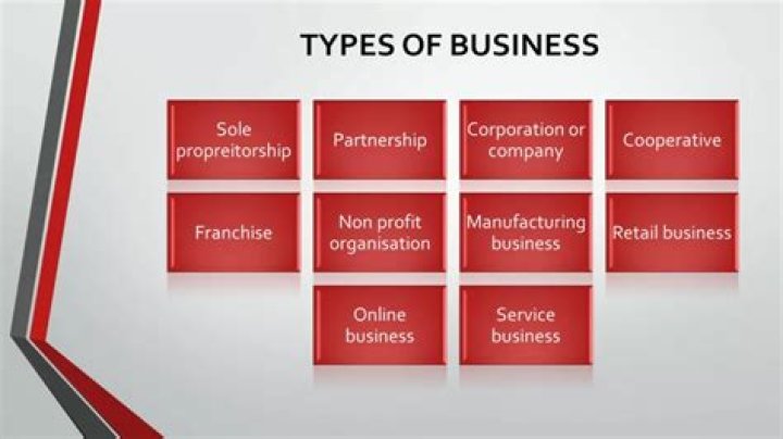 What type of business is a owner-operator?