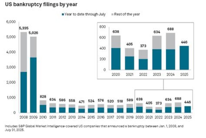 What was the number of bankruptcy filings in 2008?