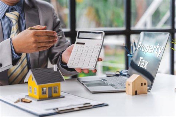 When did property income allowance start?