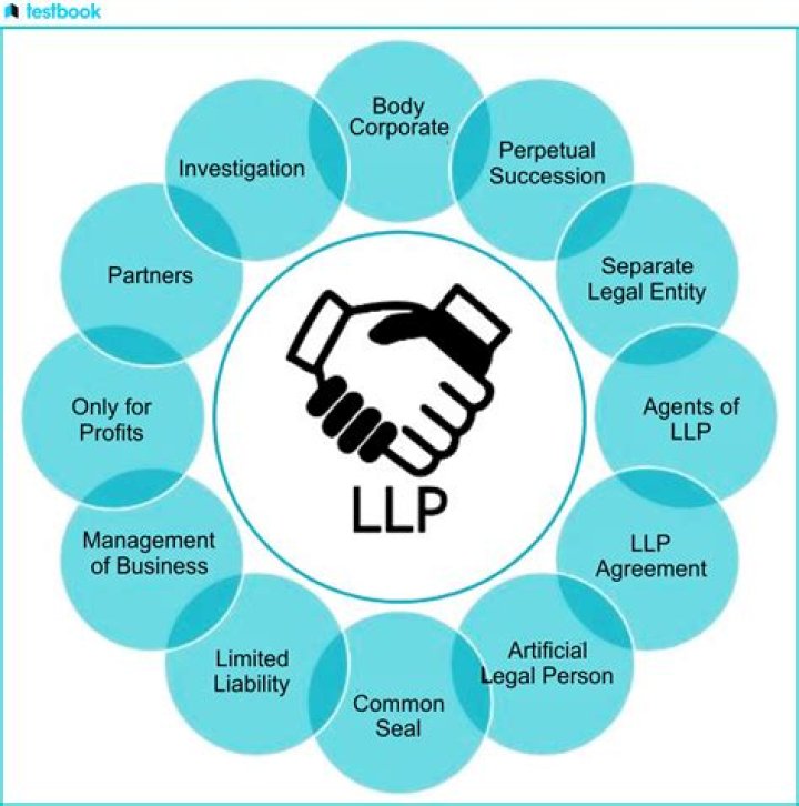 Who are the owners of a limited liability company?
