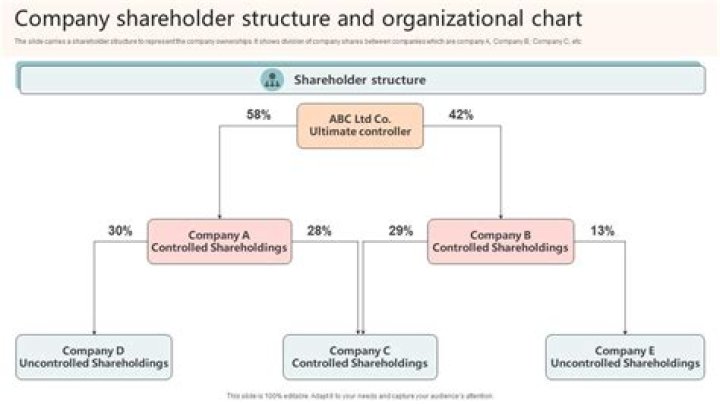 Who can be a shareholder of an S corporation?