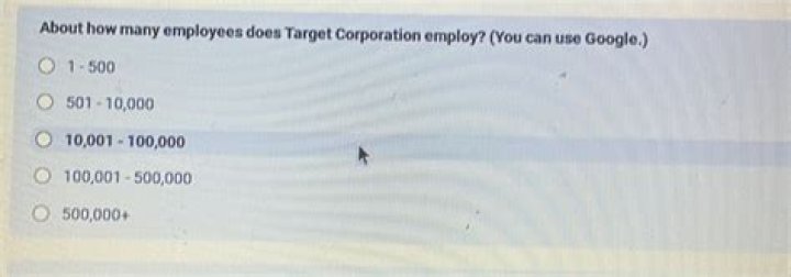 Why does A S corporation employ the owner family?